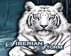 Siberian Storm